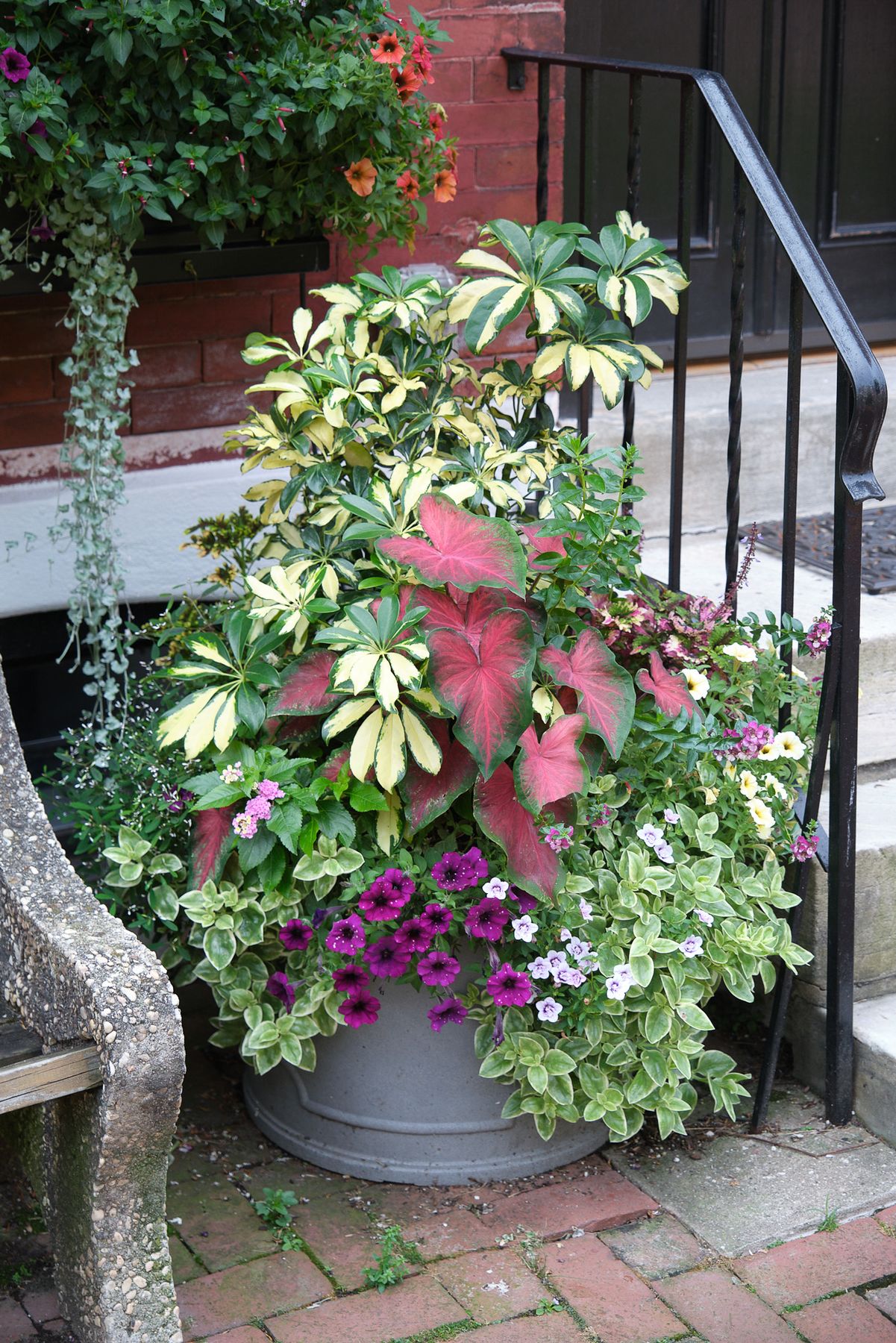 Enliven Planters summer container arrangement